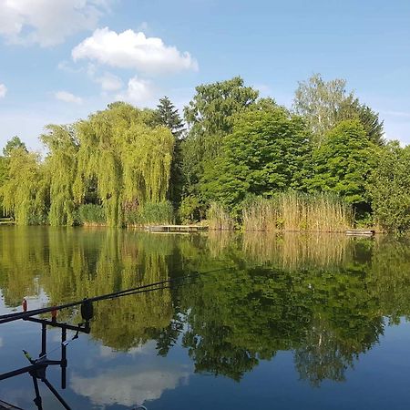 Boglarka Horgasznyaralo Villa Gyomaendrőd Екстериор снимка