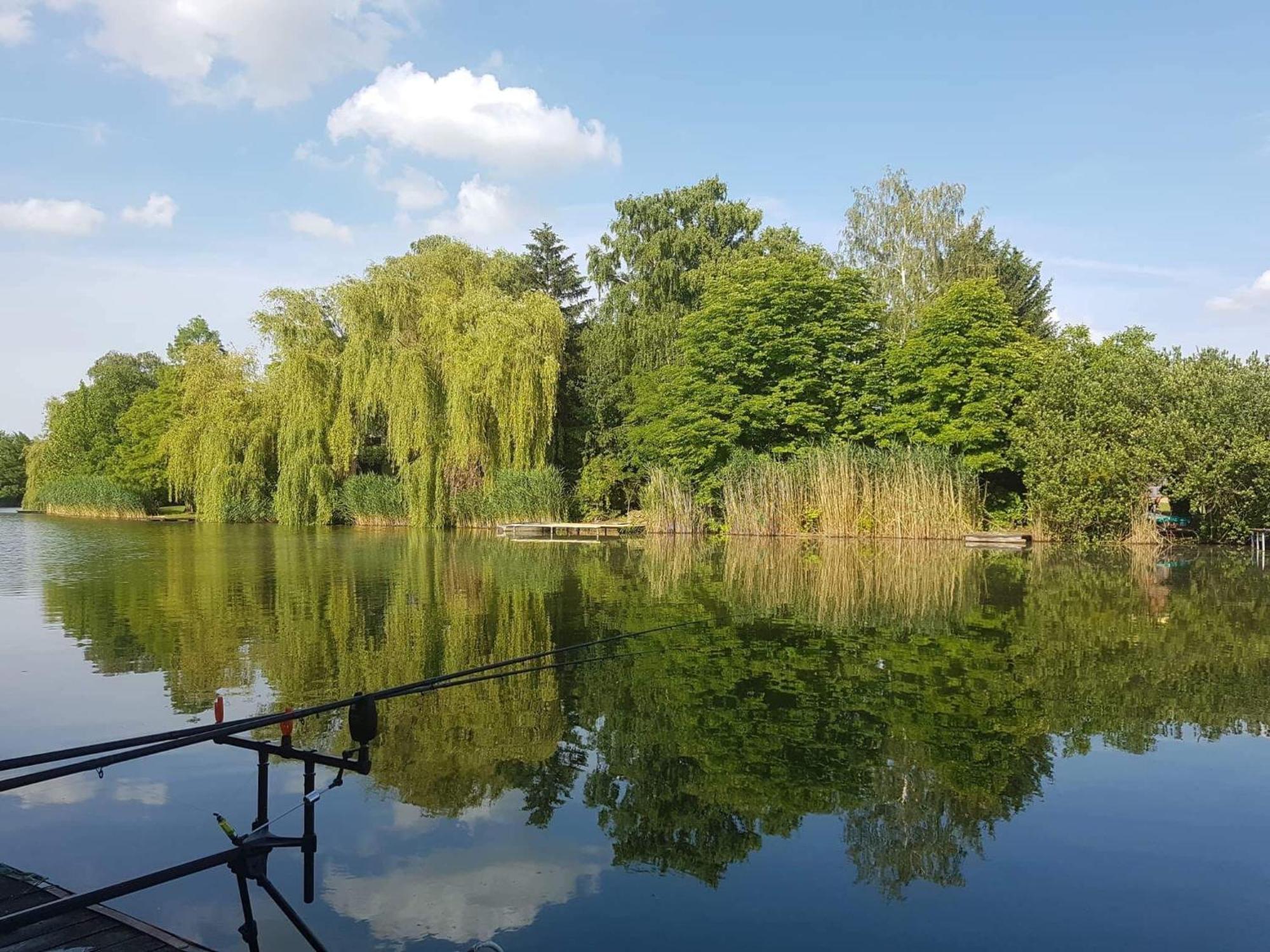 Boglarka Horgasznyaralo Villa Gyomaendrőd Екстериор снимка